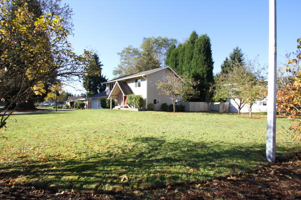 Lower level fireplace